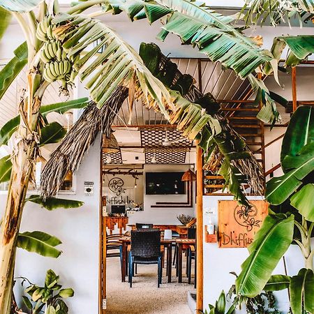 Dhiffushi Inn 외부 사진