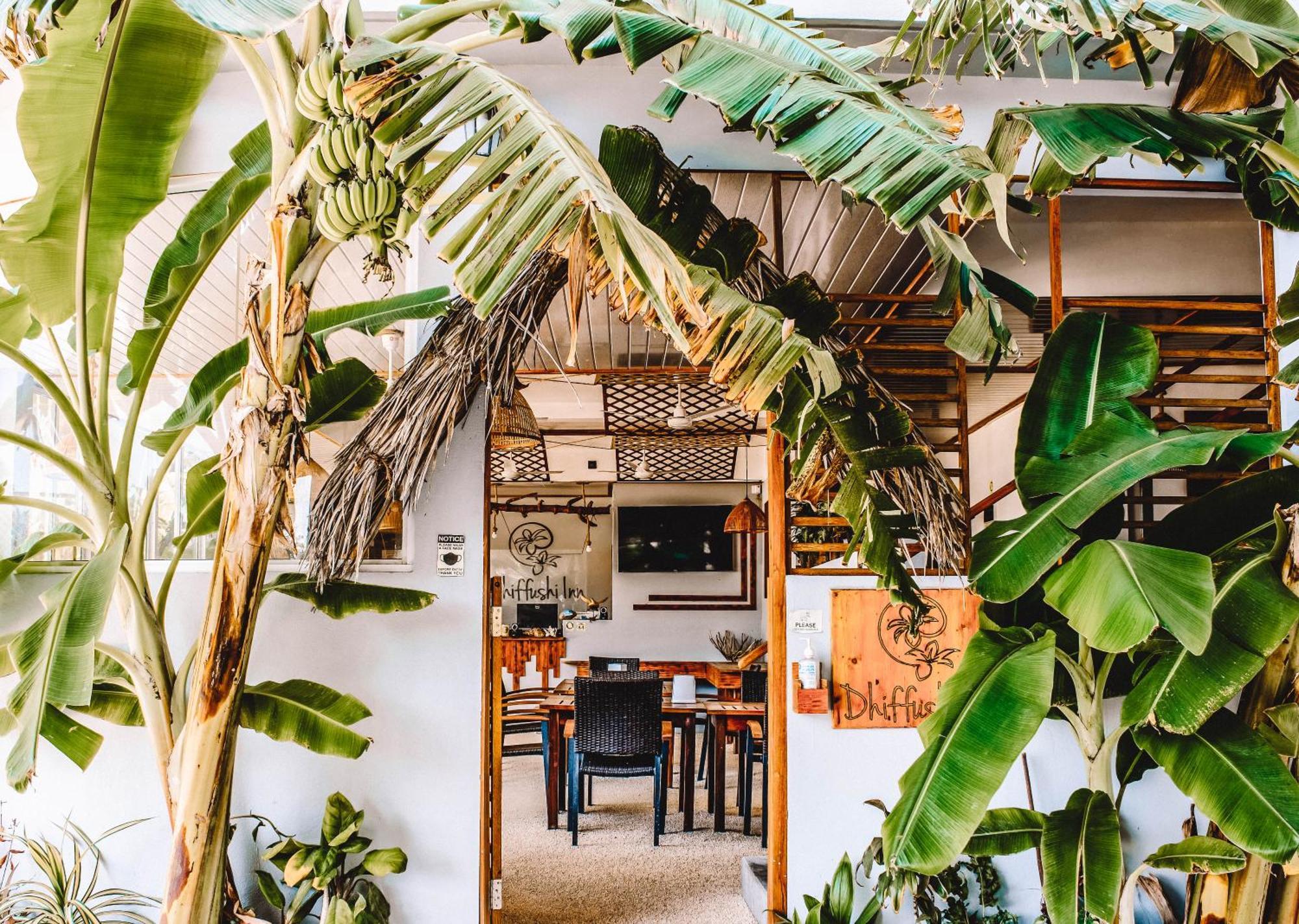 Dhiffushi Inn 외부 사진